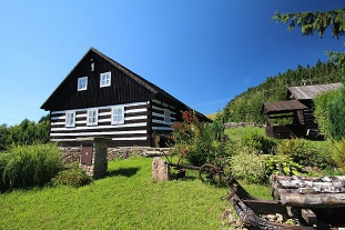 Roubenka s bazénem - Výprachtice - Orlické hory