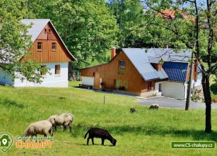 Léto nekončí – užijte si přírodu a stylové interiéry