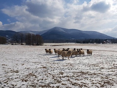 Chata 1 - Beskydy - Radho - Trojanovice