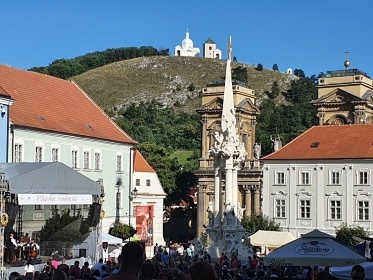 Chalupa s bazénem - Dyje - Pálava - Nové Mlýny