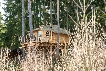 Glamping v korunch strom -  Hamr na jezee