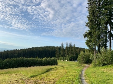 Chata Slupen - Lipno nad Vltavou - jin echy