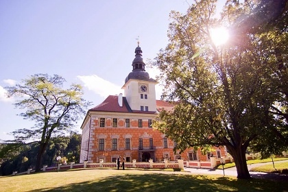 Srub s baznem a wellness - Lunice - Tbor