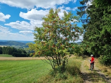 Roubenka U Medvda - Orliky - Orlick hory