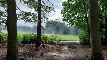 Chata v lese - Forest Garden Rejkov - vihov