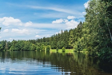 Chata v lese - Forest Garden Rejkov - vihov