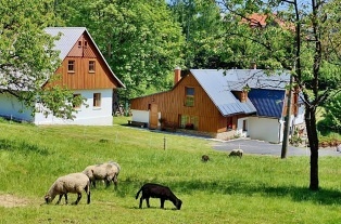 Apartmán Krkonoše - Tomášovy vrchy - Zlatá Olešnice