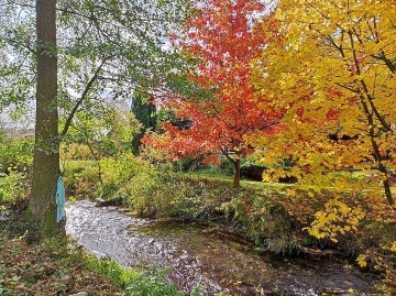 Chalupa Ddov - Teplice nad Metuj - Adrpach