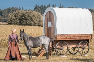 Wild West Wagon - glamping Samota sn