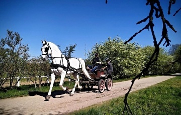 Wellness chata - eany n. L. - Kladrubsk Polab