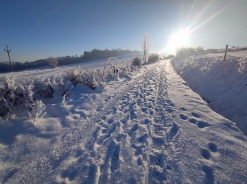 Chalupa umava - Zechovice - Volyn - Stachy