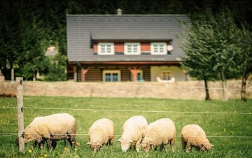 Roubenka s vhledem - Beskydy - Kunice p. O.