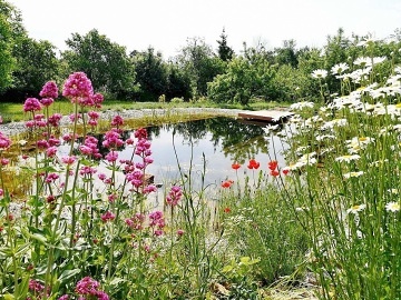 Glamping astn Zahrdka s jezrkem - Hemanov