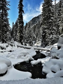 Chalupa Vysok Tatry - Smokovec - Star Lesn