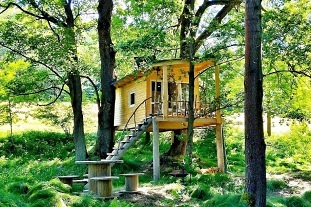 Glamping a koupací sud na samotě - Treehouse