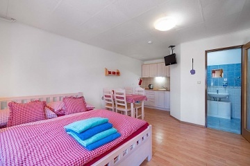 Chalupa s bazénem - apartmány Třeboňsko - Hamr