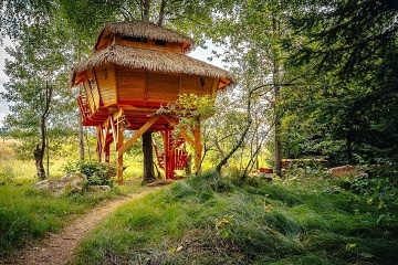 Treehouse esk Kanada - Artolec - jin echy