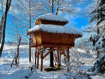 Treehouse esk Kanada - Artolec - jin echy