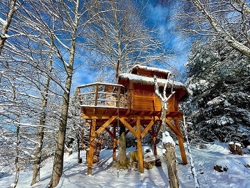 Treehouse esk Kanada - Artolec - jin echy