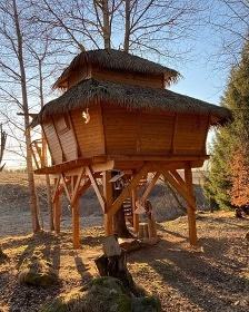 Treehouse esk Kanada - Artolec - jin echy