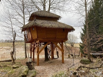 Treehouse esk Kanada - Artolec - jin echy