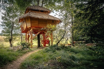 Treehouse esk Kanada - Artolec - jin echy