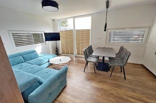 Chata s výhledem na Lipno - Karlovy Dvory