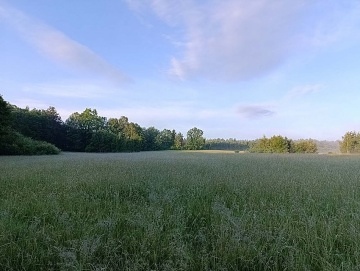 Pronjem chaty s baznem Lhota - Mladoovice