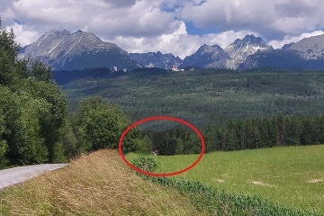 Chata trbianka Tatranska trbaVysokeTatry