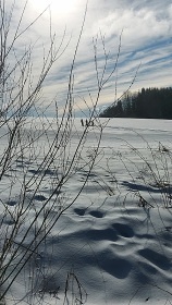 Chata trbianka Vysoke Tatry-Tatrans.trba