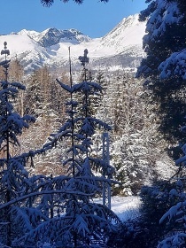 Chata trbianka Vysoke Tatry-Tatrans.trba