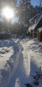 Chata trbianka Vysoke Tatry-Tatrans.trba