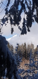 Chata trbianka Vysoke Tatry-Tatrans.trba