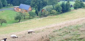 Chata u lesa - Velk Karlovice - Beskydy