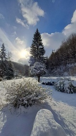 Chalupa s vivkou - Jesenky - Kouty nad Desnou