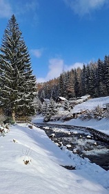 Chalupa s vivkou - Jesenky - Kouty nad Desnou