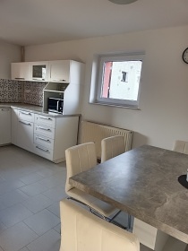 Apartmn s vivkou na zahrad - Dobev - Psek