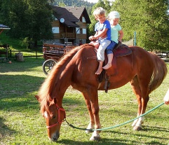 CHATA SMREK - Jezersko - Pieniny, Zamagurie