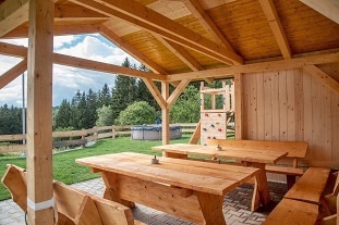 Chalupa sauna a bazén - Sněžné - Velká Deštná
