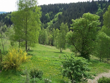 Chalupa s baznem - Janov nad Nisou - Hranin