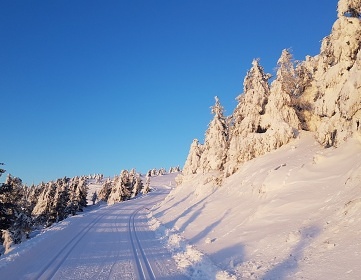 Horsk roubenka Stbrnice - Kralick Snnk