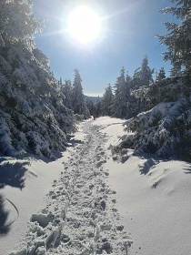 Roubenka s baznem - Kralick Snnk - Stbrnice