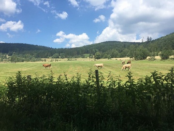 Chata Jesenky - Vrbno pod Praddem - Zadn Ves